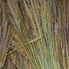 India: Straw Variations