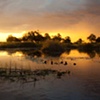 Kwando River Sunset