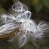 Renewal