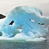 Antarctica: Blue Ice