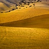 Morocco: Golden Hills