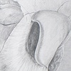 Whorl