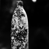 Barnacle Bottle