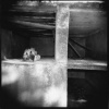 Grave