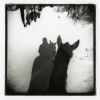On Horse