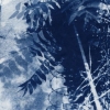 Reflection in Blue