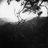 Canyon Branch