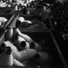 Wilde Wool
