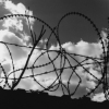 Barbwire Sky