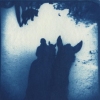 Horse in Blue