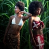 In the Sugar Cane Field