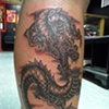dragon