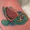 turtle