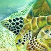 Turtles