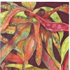 Crotons