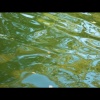 Water Swirls - Munich