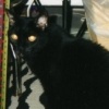 photo of Bootsy with his portrait!
