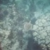 Underwater in the Turks