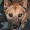 photo of Melvin