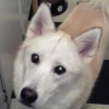photo of Vita