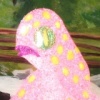 close up of Just Passin Through
