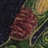 Thumb Wound