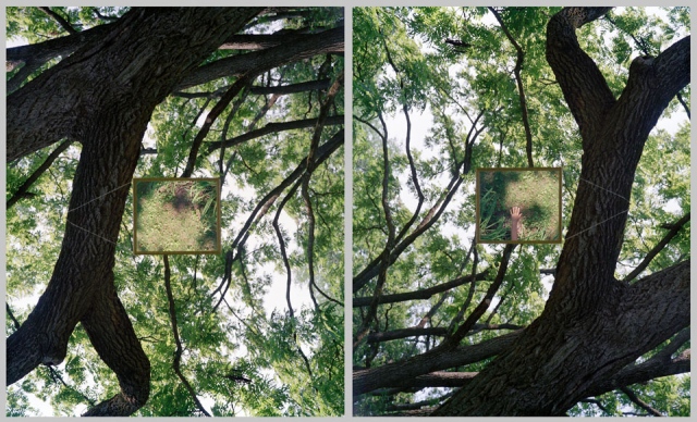 documentations of a mirror - a thing that I'm getting in