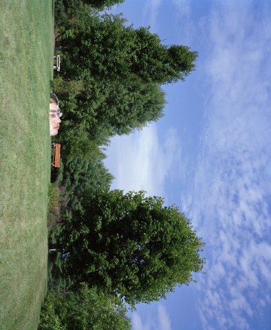 Look out over the hill
