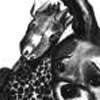 Girrafe and Rabbit