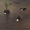 "Geo Logic," Ponca City, Ok., 2005. Site earth from locations in the show, tagged and categorized.
