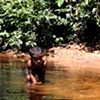 Sri Lanka - Vedda