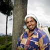 Sri Lanka - Tea Worker