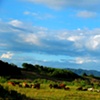 Taiwan