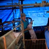Garret M. Clarke Photography

Taiwan Meat Workers
