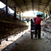 Garret M. Clarke Photography

Taiwan Meat Workers