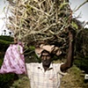 Sri Lanka - Tea Worker