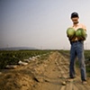 Garret M. Clarke Photography

Taiwan Farmers
