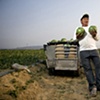 Garret M. Clarke Photography

Taiwan Farmers