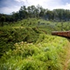 Sri Lanka - Train Ride