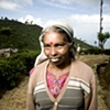Sri Lanka - Tea Worker