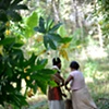 Sri Lanka - Vedda