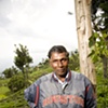 Sri Lanka - Tea Worker