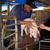 Garret M. Clarke Photography

Taiwan Meat Workers