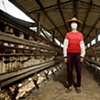 Taiwan Meat Workers