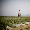 Garret M. Clarke Photography

Taiwan Farmers