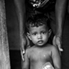 Sri Lanka - Vedda