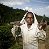 Sri Lanka - Tea Worker