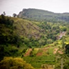 Sri Lanka - Train Ride