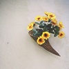 cornucopia