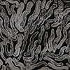 Undulations